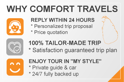 why-comfort-travels-sri-lankan