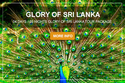 GLORY-OF-SRI-LANKA